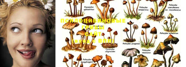 mdma Абинск